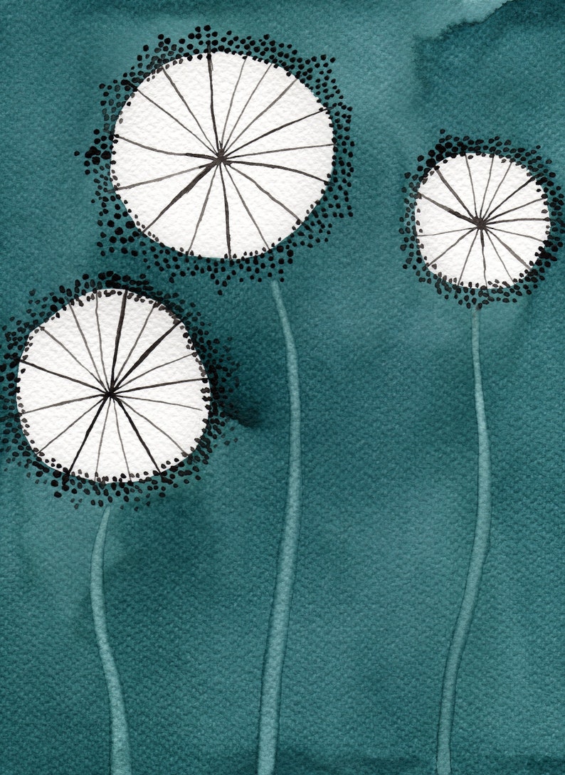 May include: Three white dandelion-like flowers with black centers and black dots around the edges on a teal background.