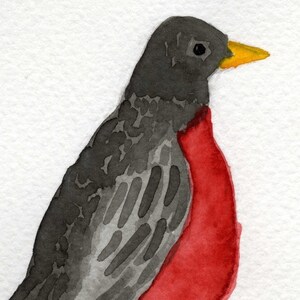 Watercolor Painting: Watercolor Illustration Bird -- Art Print --  Robin Red Breast -- 5x7