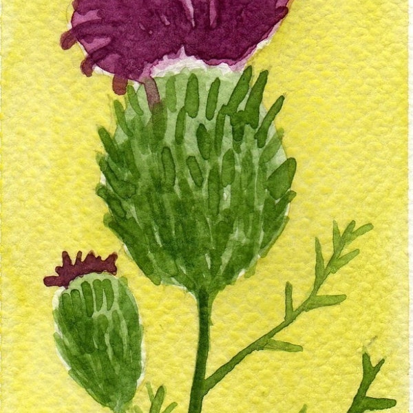 Thistle -- Flower -- ACEO Print