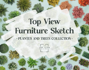 Top View Möbel Skizze – Pflanzen und Bäume KOLLEKTION