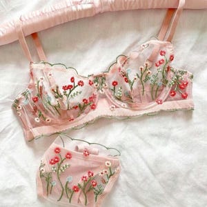 May include: A delicate pink lingerie set with floral embroidery. The bra has adjustable straps and a scalloped edge. The matching panty has a low rise and a floral design.