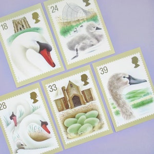 Schwäne, 5er Set unbenutzter Vintage Postkarten, Royal Mail 90er Jahre Briefmarken, Vogel Liebhaber Geschenk oder Hochzeitspapeterie, Vögel