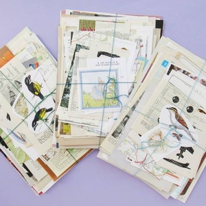 Bumper Vintage Paper Pack: Lucky Dip Mystery Bundle, lots of pages and clippings from vintage books & magazines image 5