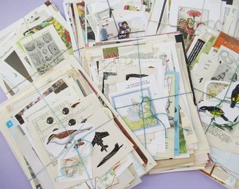 Bumper Vintage Paper Pack: Lucky Dip Mystery Bundle, lots of pages and clippings from vintage books & magazines