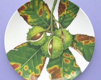 vintage Royal Mail Plate, Autumn, Horse Chestnut, Charlotte Knox, nature, feuilles, conkers, 1993, années 90, usage décoratif uniquement, PAS à usage alimentaire