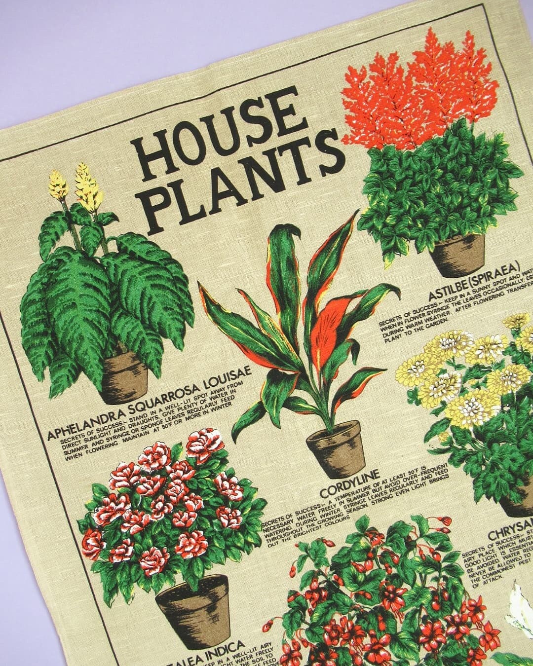 Houseplants Kitchen Towels Floursack Cotton Towels Plants