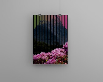 Plakat cyfrowy In Bloom, sztuka, sztuka ścienna, Nowa Zelandia, wydruk cyfrowy, sztuka do druku, sztuka kwiatowa, sztuka fotograficzna