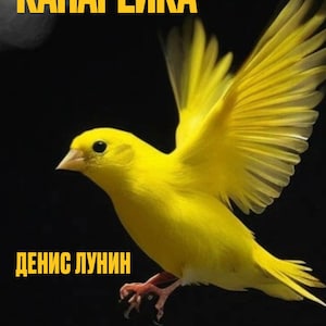 Little yellow canary, Denis Lunin, books in Russian, mysticism, fantasy, scary stories, horror, suspense, art, mystery,