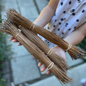 May include: Four bundles of dried pine needles, each secured with a light-colored rubber band. The needles are a warm brown color, and the bundles are held in a person's hands.