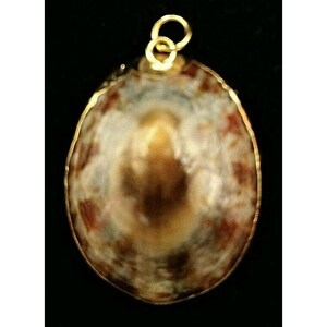 PENDANT ELECTROPLATED GOLD Trim Shell White Brown Vintage Estate