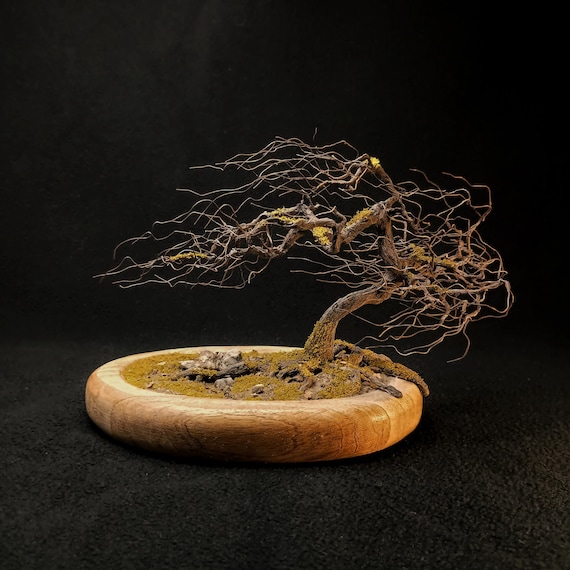Wind-swept Bonsai Diorama  Fukinagashi Style Tree Among Mossy Rocks - Etsy  New Zealand