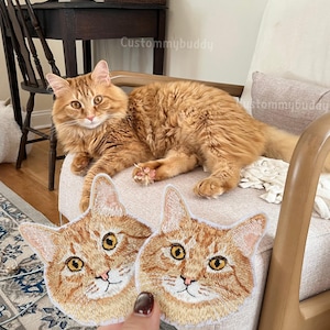 Op de afbeelding: Een oranje tabby kat rust op een beige fauteuil, met twee geborduurde patches van een kattengezicht op de voorgrond. De patches zijn oranje en bruin met gele ogen en roze neuzen. De kat heeft lange vacht.