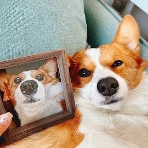 Dipinto personalizzato per ritratti di animali domestici, Ritratto di animali domestici personalizzato dipinto a mano, Pittura su vetro per animali domestici, Memoriale di gatti, Memoriale di cani, Regalo di simpatia per la perdita di animali domestici