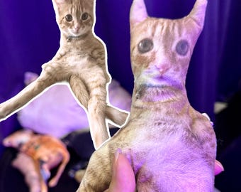 Custom Cat Pillow Ugly Cat Pillow Personalized Funny Pet Photo Pillow Custom 3D Pet Pillow Cuddle Pet Pillow Funny Gifts