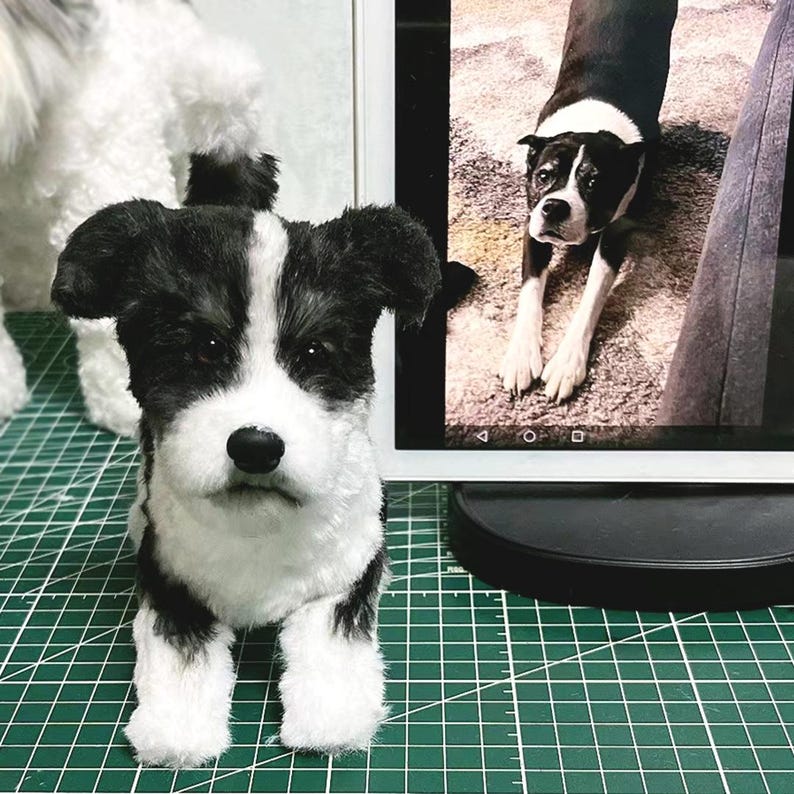 pet keepsake