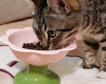 Gamelle florale en céramique pour animal de compagnie : gamelle surélevée pour chat/chien