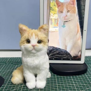 Custom Cat Plush Personalized Pet Replica Memorial Gift for Cat Lover