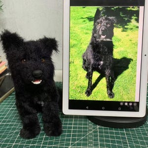 black dog
