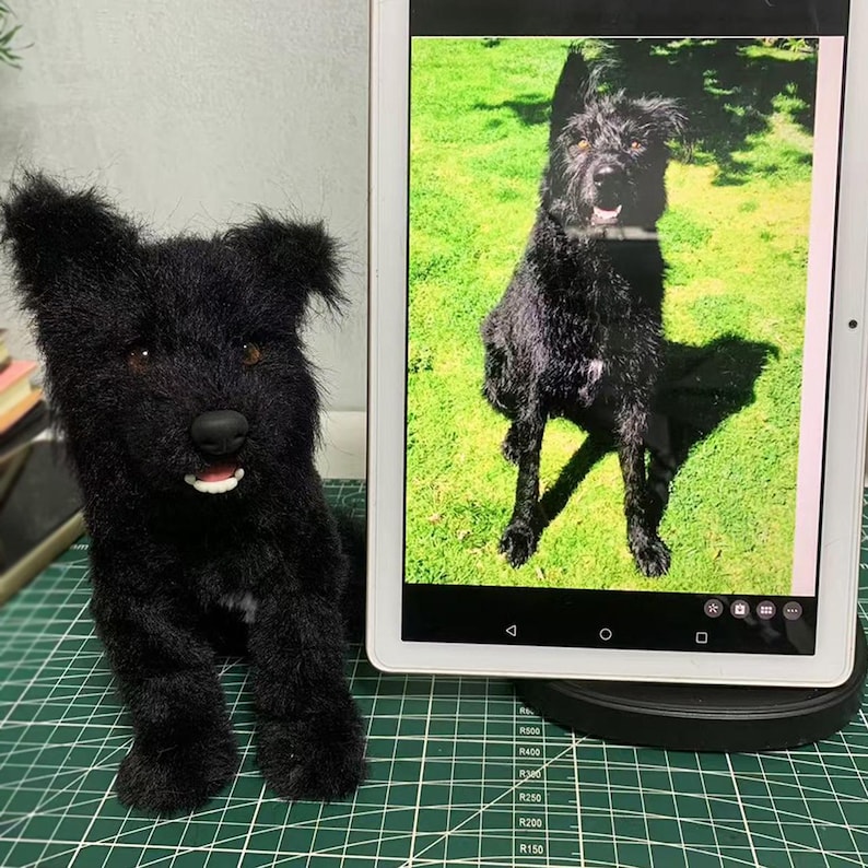 black dog