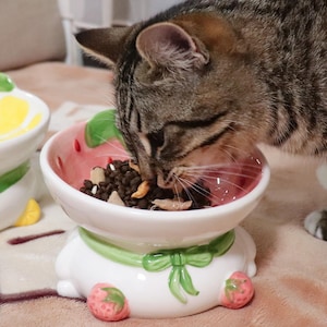 May include: A white ceramic cat bowl shaped like a strawberry, with a pink interior and green accents. The bowl is filled with cat food, and a tabby cat is eating from it.
