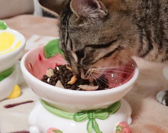 Bol pour animaux de compagnie en céramique fraise et citron : bol de nourriture incliné et surélevé pour chats et petits chiens