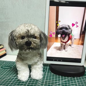 personalized dog portrait