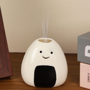 DIY Cat Whisker Vase Personalized Pet Hair Keepsake