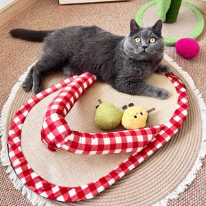 May include: A grey cat rests on a circular mat, accompanied by a red and white checked cat tunnel and two fruit-shaped toys. A pink ball and a green cat scratching post are visible. The cat has yellow eyes.