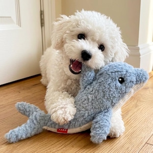 May include: A fluffy white dog with a playful expression is biting a light blue plush dolphin toy. The toy has a white belly and a red tag that reads "XARA". The dog is on a wooden floor.