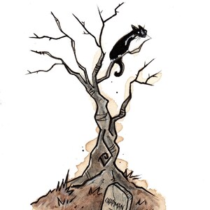 May include: A black cat sits on a bare tree branch above a tombstone that reads "Chapman". The tree is surrounded by brown grass and dirt.
