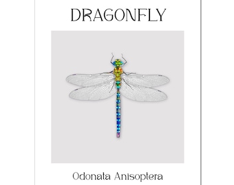 Printable Dragonfly Poster | Dragonfly Print | Dragonfly Art