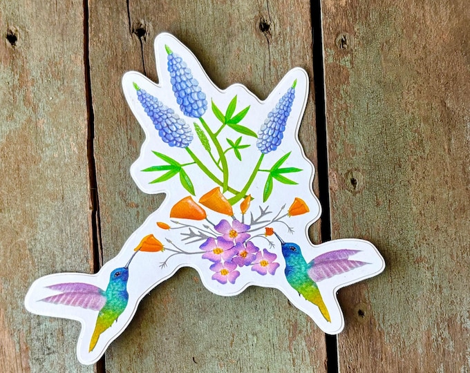 California Native Flowers Sticker – Hummingbirds, Lupine & Poppies – 4x4 Matte
