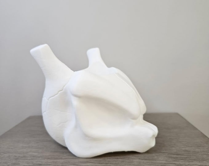 Mewtwo Skull Pokémon Planter