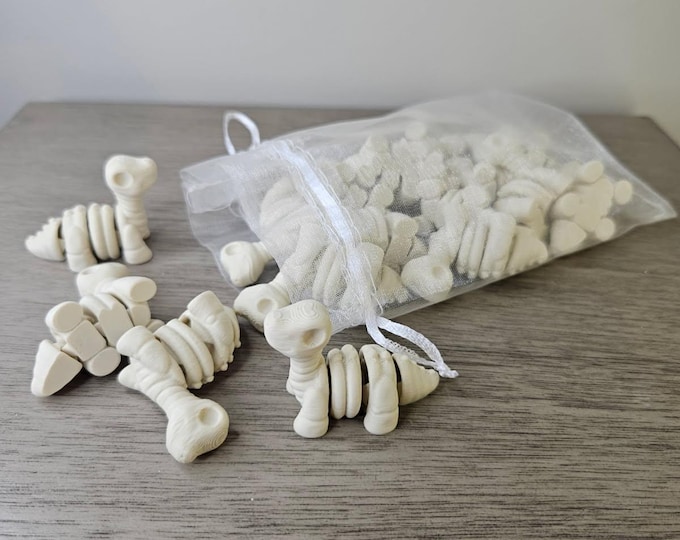 Mini Articulated Skeleton Brontosaurus