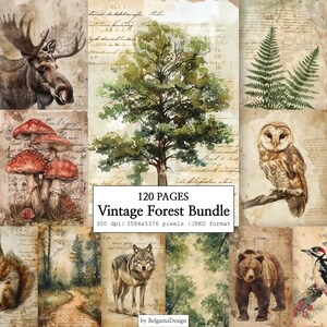 May include: A digital collage sheet titled 120 Pages Vintage Forest Bundle featuring watercolor illustrations of a moose, a large tree, ferns, red mushrooms, an owl, a squirrel, a wolf, a bear, and a woodpecker over aged parchment paper backgrounds.