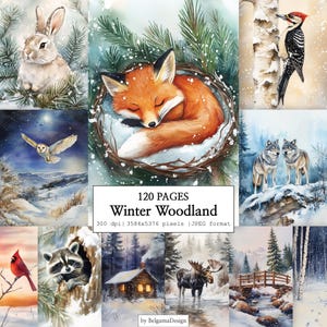 Könnte beinhalten: Eine digitale Sammlung von 120 Seiten mit dem Titel Winter Woodland, die Aquarellillustrationen eines Kaninchens, eines schlafenden Fuchses, eines Spechts, einer Eule, Wölfen, eines Kardinals, eines Waschbären, einer Hütte und einer verschneiten Brücke zeigt.