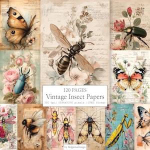 Könnte beinhalten: Eine Collage aus Vintage-Insektenpapieren mit Illustrationen von Schmetterlingen, Käfern, Bienen und anderen Insekten. Der Text "120 PAGES Vintage Insect Papers" ist zu sehen. Das Kunstwerk hat einen floralen und antiken Papierhintergrund.