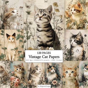 Könnte beinhalten: Eine Collage von Katzenillustrationen im Vintage-Stil. Das Bild zeigt verschiedene Katzenrassen mit floralen und botanischen Elementen. Der Text "Vintage Cat Papers" wird mit Seiten- und Auflösungsdetails angezeigt. Die Gesamtästhetik ist weich und antik.