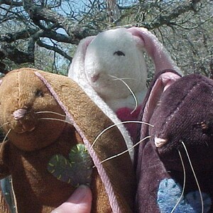 Waldorf Elephant, Sheep, Pig, Bear, or Bunny Rabbit Plush Steiner Inspired Animal image 3