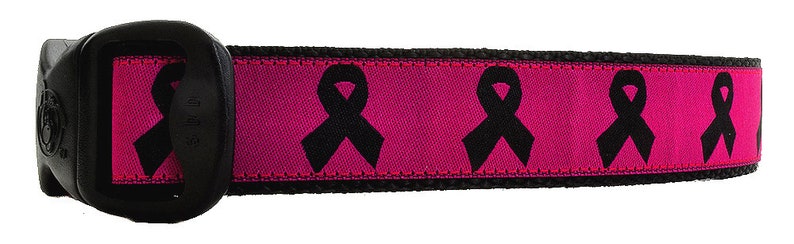 Op de afbeelding: Roze hondenriem met zwarte lintontwerpen. De riem heeft een zwarte gesp.