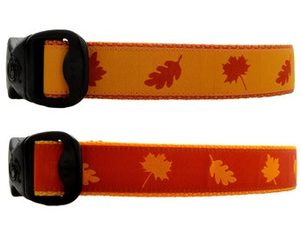 3 Dirty Dawgz Seasonal Autumn Harvest Pumpkin Orange Leaves Maple Leaves Rust Color Leaf Fall Dog Collar for Medium Large and XLarge Dogs