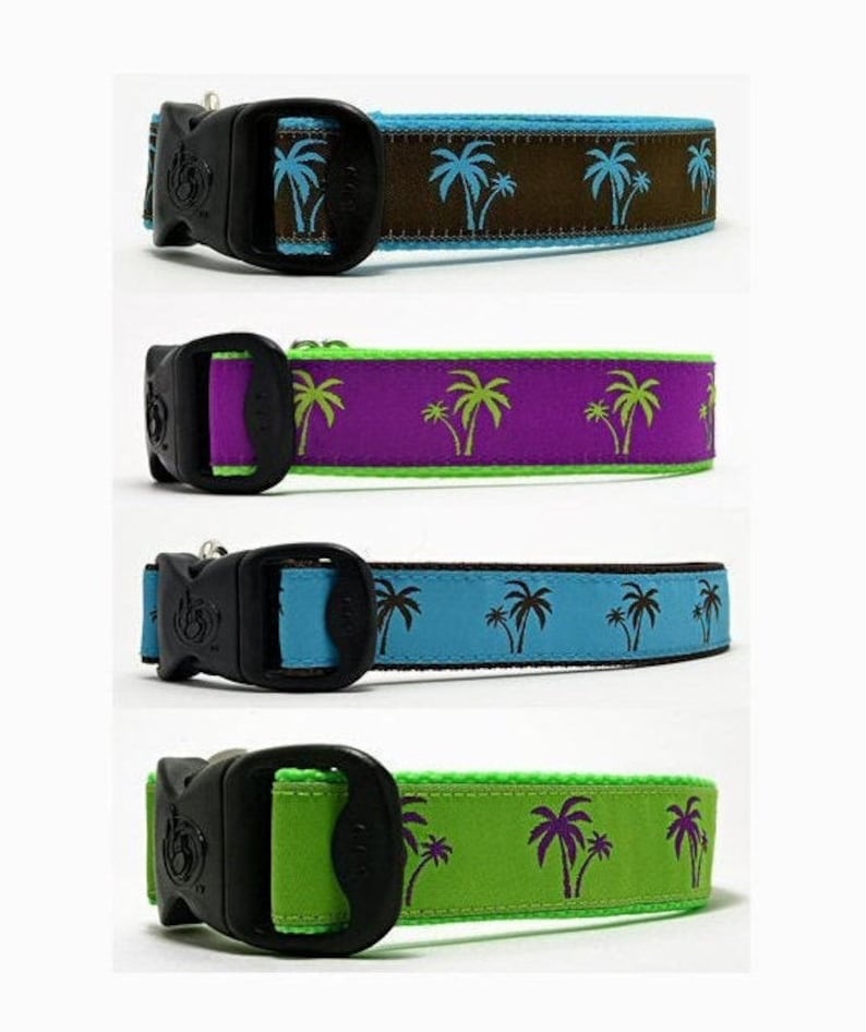 Palm Trees Florida Palm Beach Preppy Ribbon Sommar Exklusiva Hundhalsband bild 1