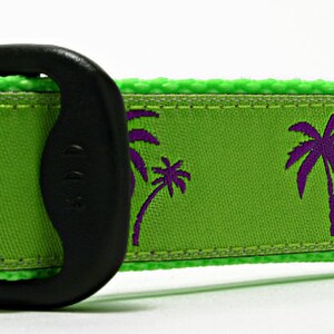 Palm Trees Florida Palm Beach Preppy Ribbon Sommar Exklusiva Hundhalsband bild 4