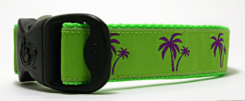 Palm Trees Florida Palm Beach Preppy Ribbon Sommar Exklusiva Hundhalsband bild 4