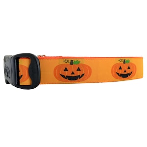 3 Dirty Dawgz Cute Fun Spooky Jack O Lantern Orange Pumpkin Halloween Dog Collar Dog Collar for Small Medium Large and XLarge Dogs