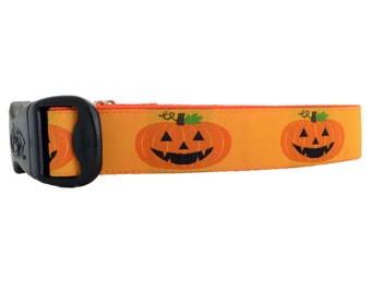 May include: Orange dog collar with a repeating pattern of jack-o'-lantern faces. The collar has a black buckle.