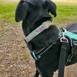 Hundhalsband med flamingomotiv Hundhalsband med enhörning Sommarhundhalsband Hundhalsband med bostonterrier Hundhalsband Bulldogg Hundhalsband Whippet hundhalsband Ankhundhalsband bild 3