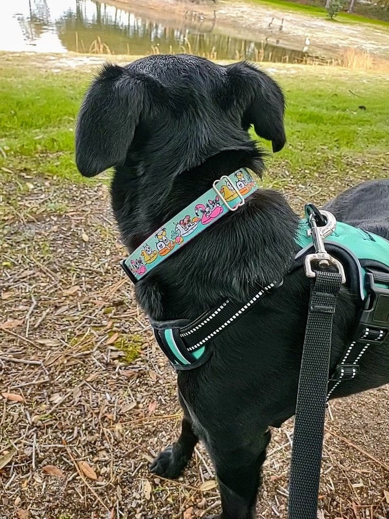 Hundhalsband med flamingomotiv Hundhalsband med enhörning Sommarhundhalsband Hundhalsband med bostonterrier Hundhalsband Bulldogg Hundhalsband Whippet hundhalsband Ankhundhalsband bild 3