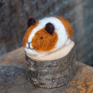 completed felted guinea pig