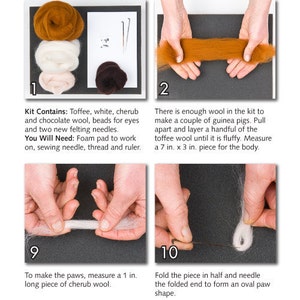 woolpets guinea pig kit sample instructions